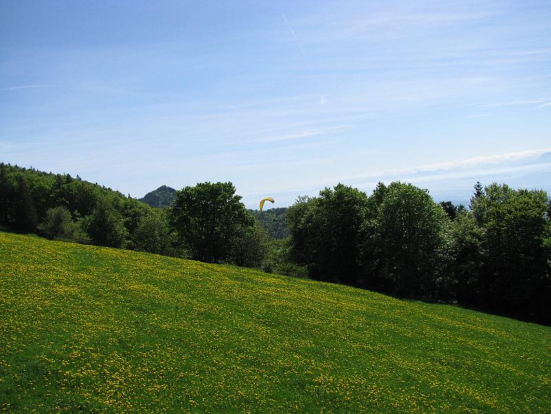 2009-05_Weissenstein 048.jpg